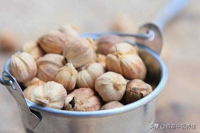 豆蔻的功效与作用，豆蔻的功效和作用（豆蔻—化湿行气，温中止呕）