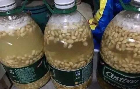 新鲜桔子皮的功效，新鲜橘子皮的功效与作用及禁忌（吃剩的桔子皮别乱扔）