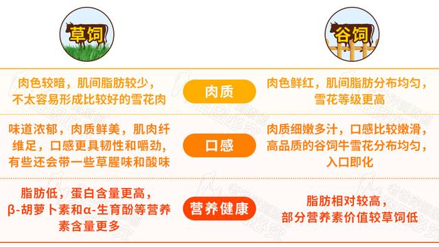 牛排有哪些种类，如何分辨牛排的种类和口味（菲力、西冷、肉眼）