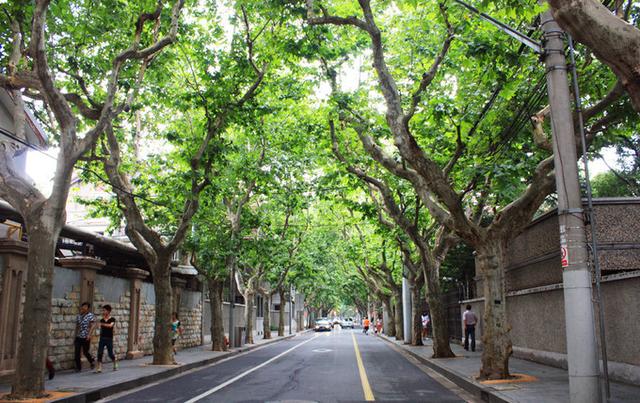 上海旅游景点排名前十，上海次级必游景点排行榜（上海十大人气景点攻略）