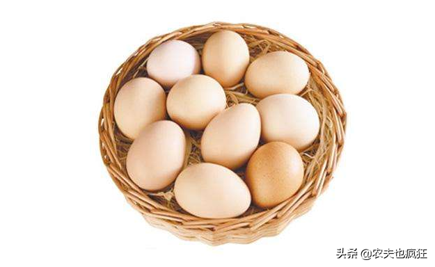 洋鸡蛋是什么，洋鸡蛋是什么做的（土鸡蛋和“洋鸡蛋”营养价值一样吗）