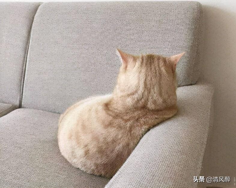 微信朋友圈广告文案(怎么打广告吸引客户)