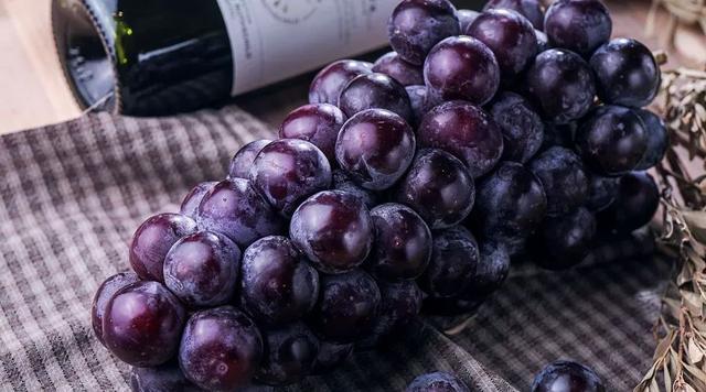 极品是什么意思，地道表达合集<干货