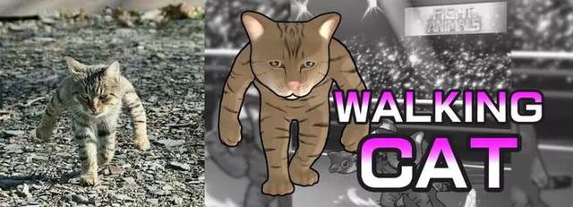 吸猫伐是什么意思，什么叫吸猫（禽兽们搞起比利来有多“骚”）