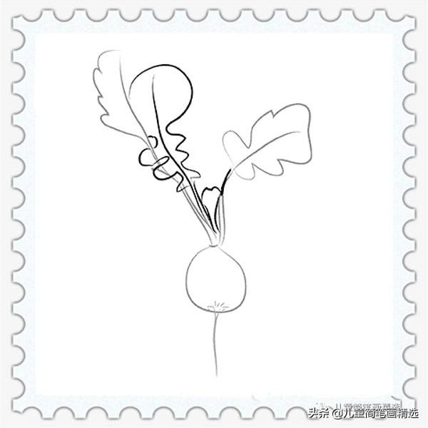 萝卜的简笔画大全大图，儿童简笔画精选-水萝卜的绘画步骤