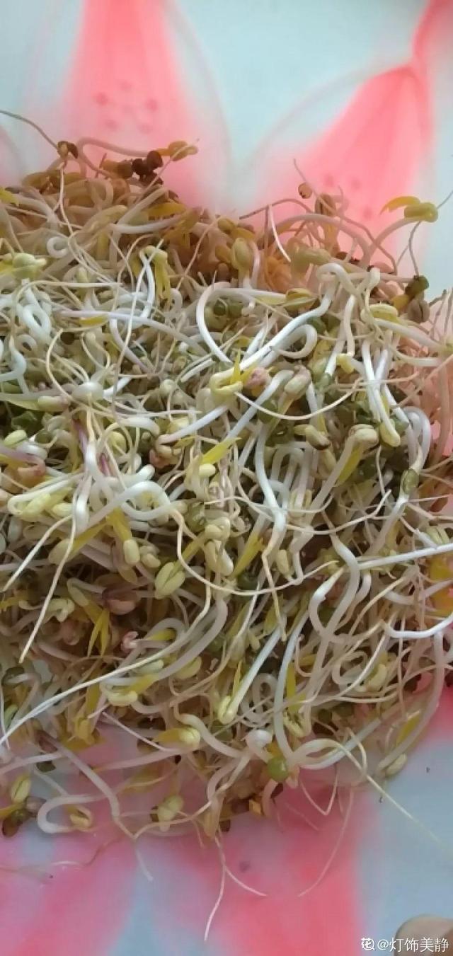 平菇种植最简单方法，平菇种植最简单的方法（喷喷水就能长）