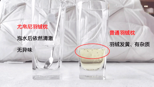 酒店的床垫为什么那么舒服，酒店的床垫为什么睡得舒服（为什么睡五星级酒店比在家睡舒服）