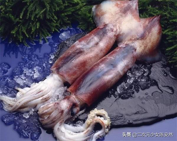 海绵宝宝是一种原始的什么动物，海绵宝宝人物介绍（《海绵宝宝》中的人物在现实生活中的原型你知道几个呢）