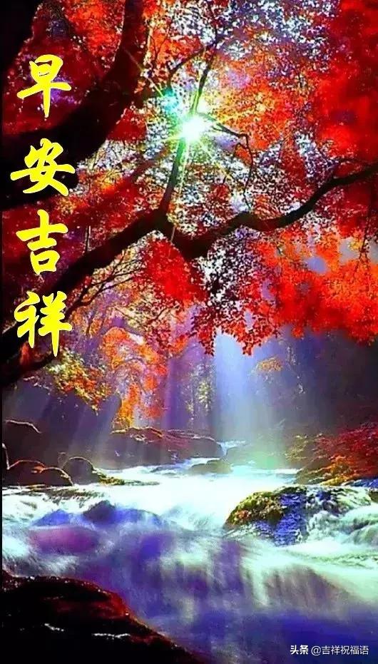 周五问候语简短暖心短句，周五，早安暖心问候晨语