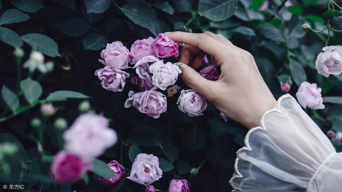 爱情向左婚姻向右，爱情和婚姻的关系是什么（唯独你停留在十字路口）