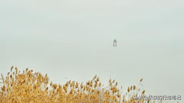 中国四大淡水湖是哪四个，四大淡水湖（五大淡水湖最令人惋惜的）