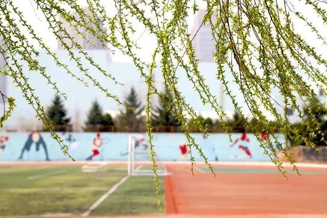 辽东学院宿舍条件怎么样，辽东学院宿舍几人间（辽宁省普通高等院校）