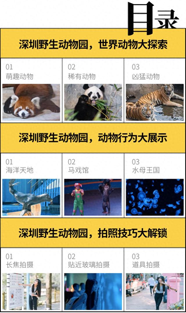 深圳老牌打卡地，火了28年