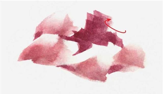 牡丹花简笔画简单又好看，简笔画画牡丹花（适合零基础绘画者学习）