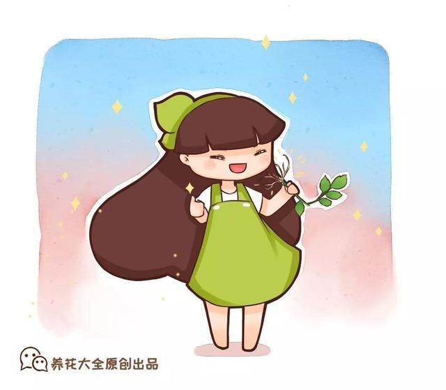 自制雾状小喷壶，自制实用喷水壶（它是扦插万能土）