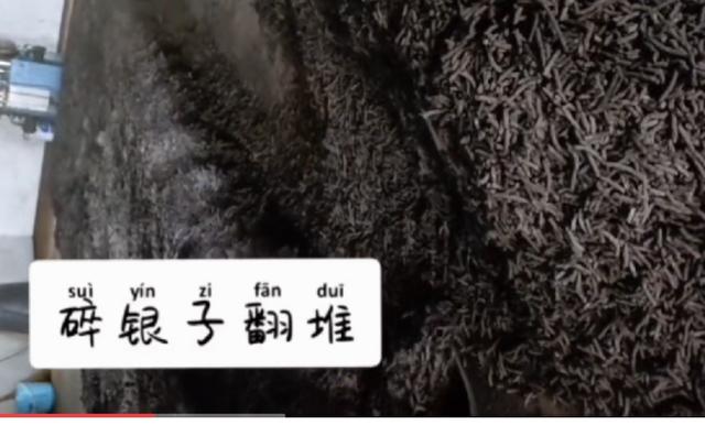 碎银子茶功效与作用，茶化石碎银子功效与作用（瞒天过海的碎银子骗局）