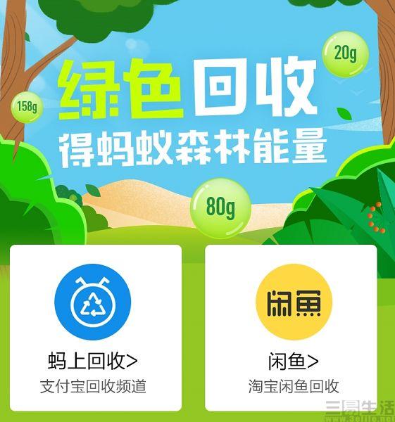 蚂蚁森林能量可以换钱吗，蚂蚁森林能挣钱吗（支付宝回收可得绿色能量）