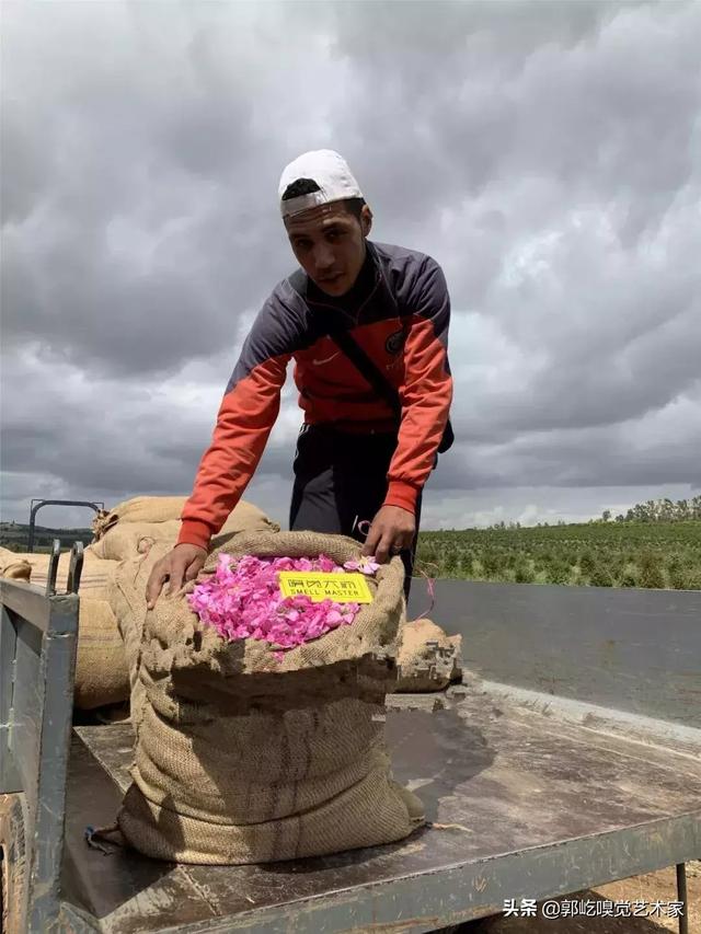 香熏精油的基本知识，涨姿势丨香薰精油知识大扫描