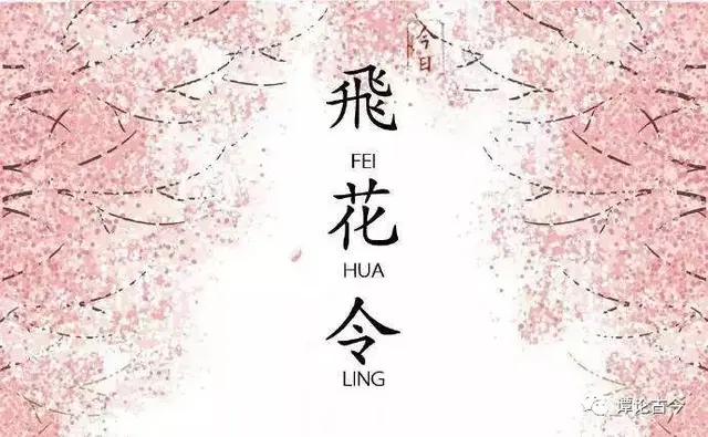 飞花令里读诗词，飞花令诗词大全（飞花令里读诗词）