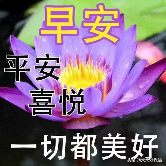 关于中元节的问候句子，中元节可以发问候语吗（7月15中元节清晨问候语句）