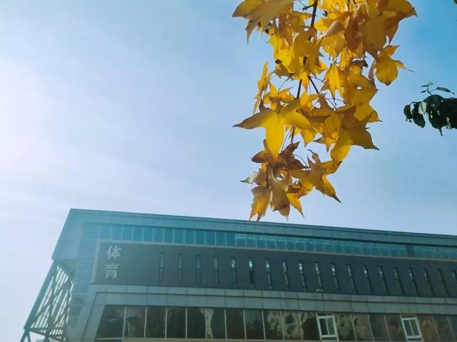 大连财经学院学费，2021年大连财经学院录取通知书查询入口_什么时候收到及发放时间（<八>大连财经学院）