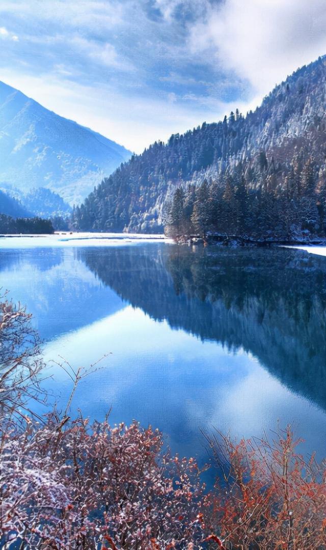 冬夜诗词，冬夜诗词原创（为爱深红似落花）