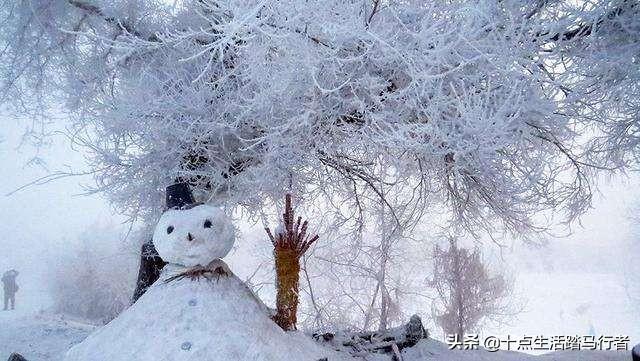 吉林雾凇景色奇特三九严寒，冰天雪地中的美景——吉林雾凇