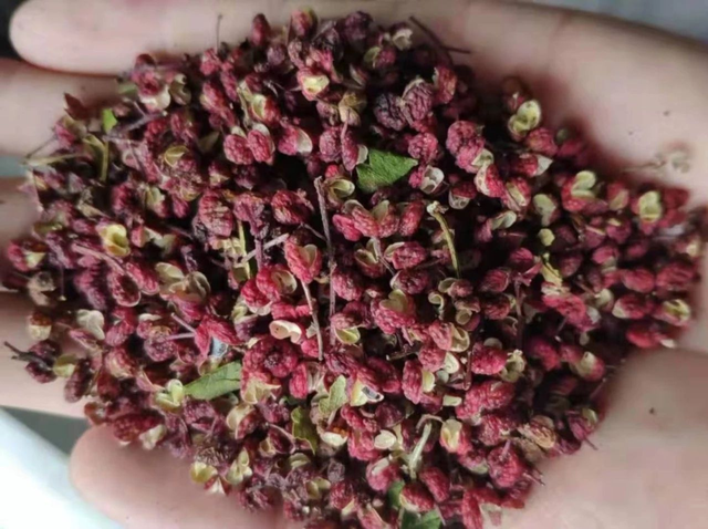 花椒的种类太多了哪一种花椒最好，常用的花椒有哪些种类