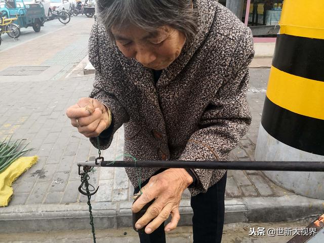 雪里红,“雪里蕻”这种菜你的家乡有吗(雪里红炖豆腐) 雪里红,“雪里蕻”这种菜你的家乡有吗(雪里红炖豆腐)