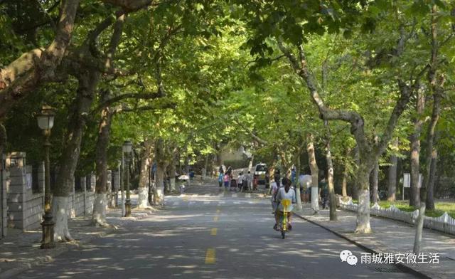 冷色系女头/快乐是个奢侈品，微信头像，冷色系女头/快乐是个奢侈品（雅安：一城梧桐伴流年）