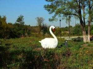 北戴河旅游景点，北戴河旅游景点大全（北戴河自驾游精华景点攻略推荐）