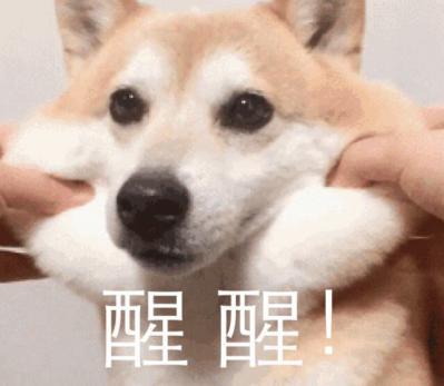 板绘零基础教程，板绘入门教程零基础临摹（你与大神就差拿起笔这一步）