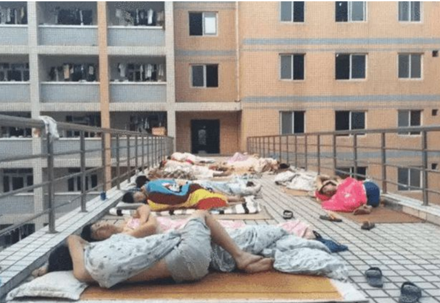 打地铺的注意事项，楼上打地铺可以吗（哈工大学生在行政楼前打地铺）