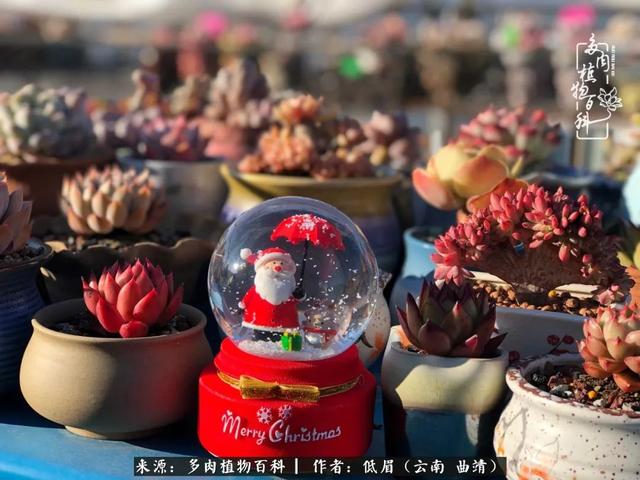 很丧很失望——低眉.，皱着眉头哭丧（陪你度过寒冷的圣诞平安夜图片）