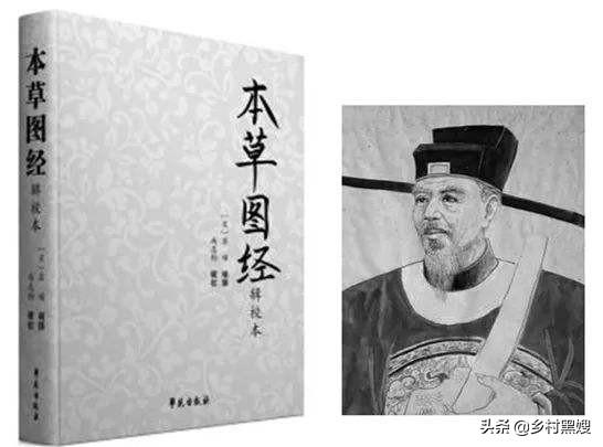 关于白菜介绍，关于白菜的介绍（一口气搞懂白菜的前世今生）