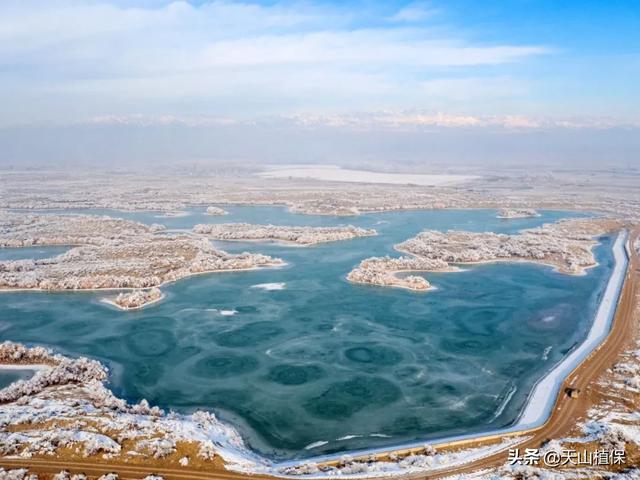 新疆农四师在哪里（四师可克达拉市团场风采）