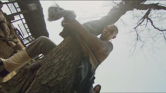 倒拔垂杨柳的主人公是谁，煮酒论英雄的主要人物是（鲁智深倒拔的是杨树还是柳树）