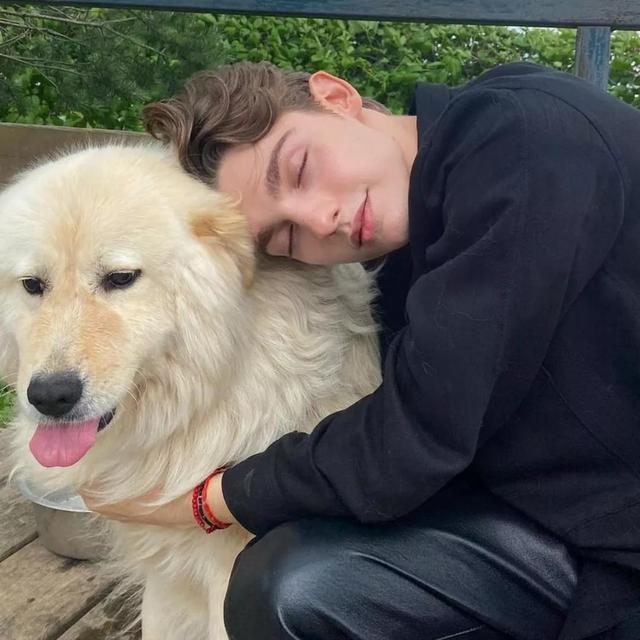 单身贵族头像，单身贵族头像(不要会员)（单身贵族头像 单身限定）