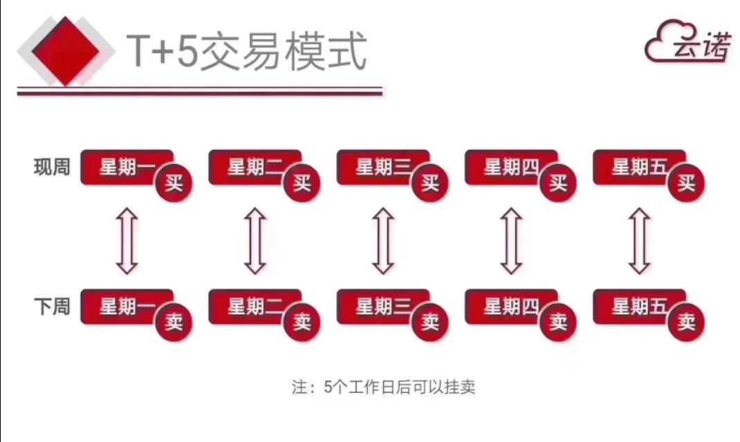 云诺（云诺云交所现货行业解析）