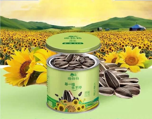 磕乐是什么意思，磕乐是啥意思（“每一“嗑”乐不停”—零食瓜子品牌全案策划设计欣赏）