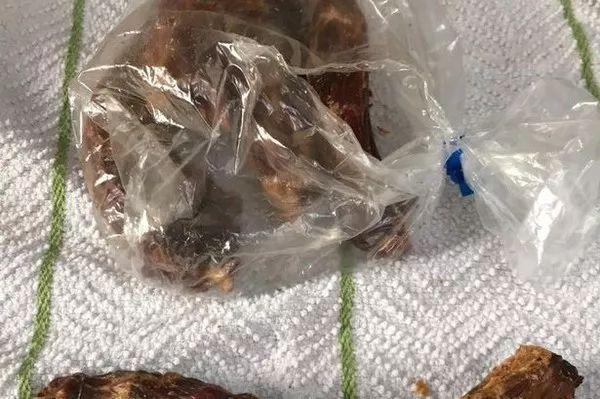 狗能吃鸭脖吗，狗狗可以吃鸭脖吗（给狗狗喂食这种东西时）