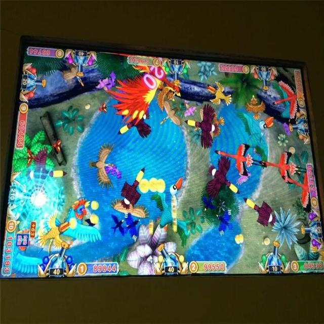 捕鸟机，深海搁浅捕鸟器怎么用（赌博机，吃人不吐骨头。）