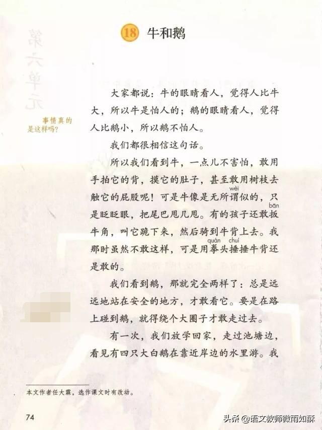 批注怎么显示在旁边，wps批注（小学生怎样给文章做批注）