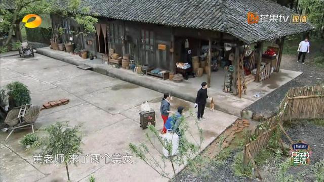 向往的生活彩灯是什么品种，向往的生活里的彩灯是什么动物（那英成《向往的生活》最“炸场”嘉宾）