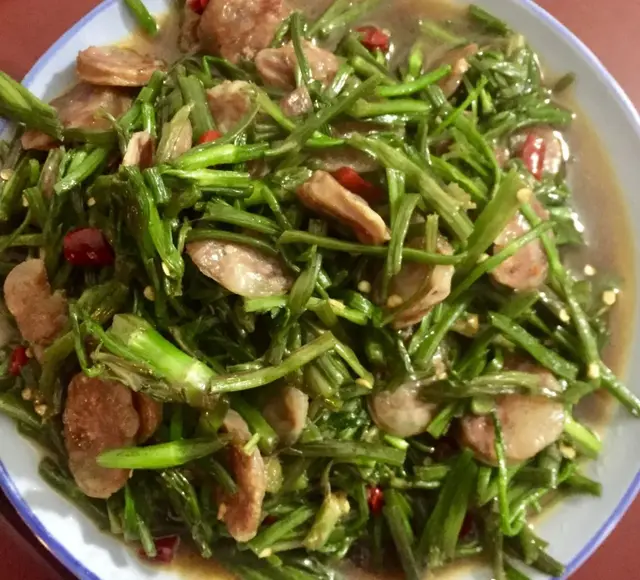 野菜的种类和图片大全，四季野菜图文大全（最美味的15种野菜）