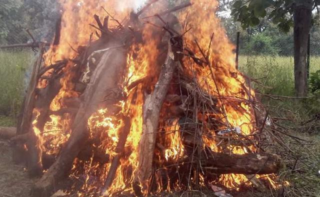 义渠国是现在的哪里，秦灭义渠国是现在的哪里（战国时期一个被忽视的强大国家）