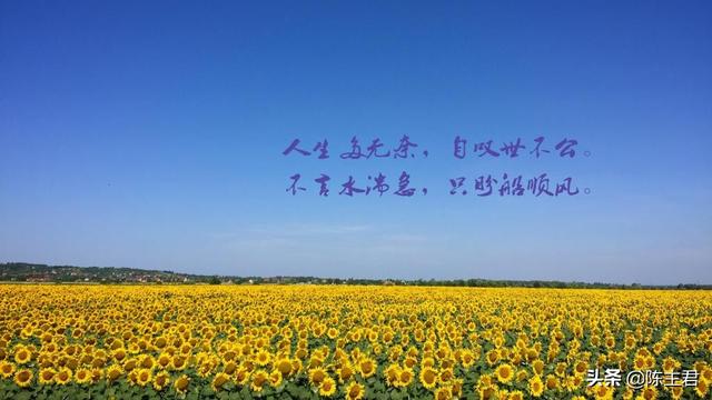 表达心累又无奈的说说，压抑憋屈的心情说说（伤感心累无奈的说说）