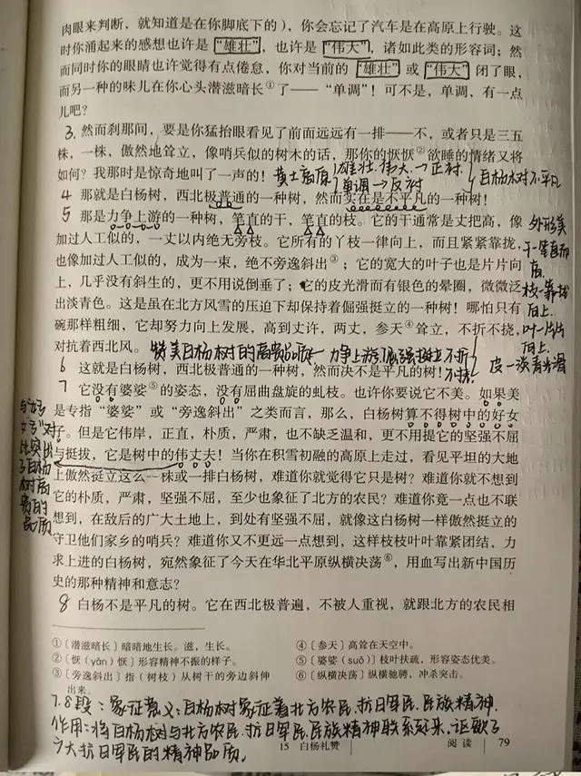 白杨礼赞课文赏析，白杨礼赞课文赏析句子（八年级语文上册第十五课《白杨礼赞》课文笔记）