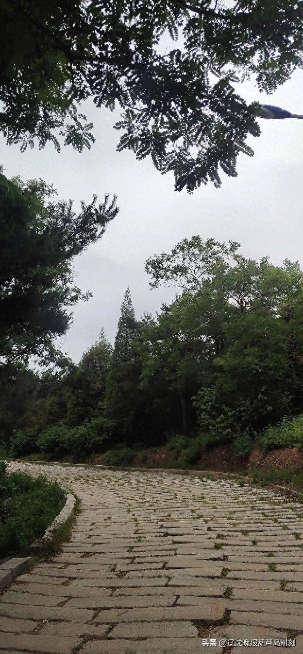 葫芦岛龙背山公园