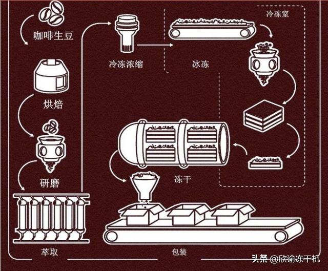 冻干咖啡怎么冲，冻干咖啡怎么冲成浓缩咖啡（什么是冻干咖啡-冻干咖啡怎么制作——冻干咖啡工艺）